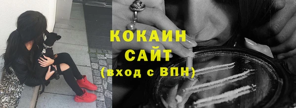 индика Балабаново