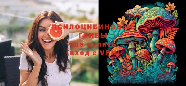 индика Балабаново