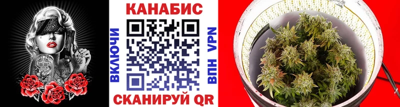 дарк нет официальный сайт Монино Шишки марихуана семена